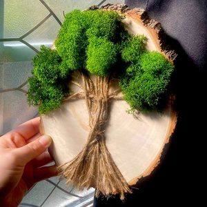 Beautiful green decor